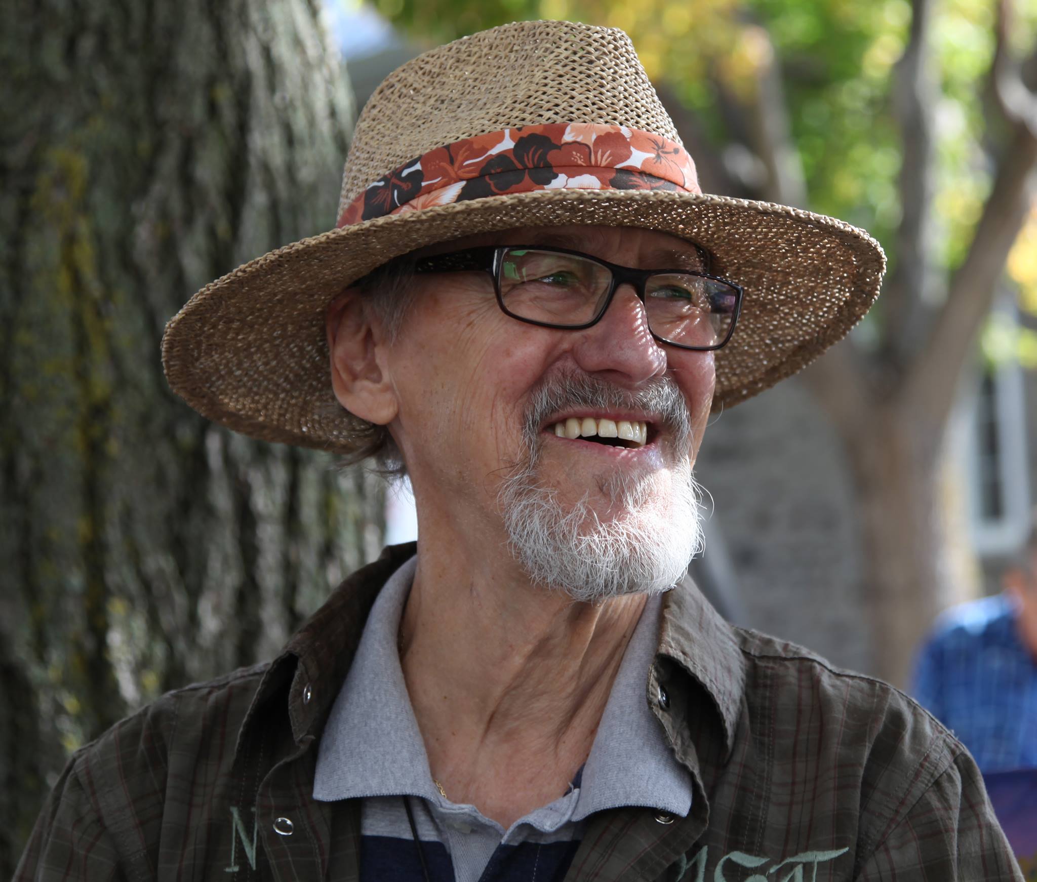 Yvon Provost artiste peintre québécois