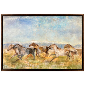 Chevaux galop vitesse pouissiere vent montagne hennissement nuage harde paysage campagne