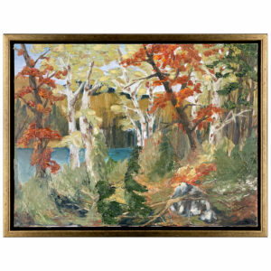 paysage foret automne lac bouleau roche broussaille