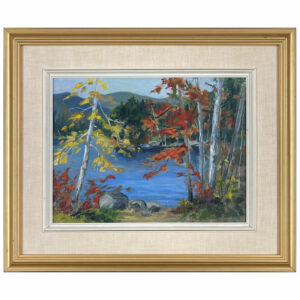 paysage forestier lac automne arbre rocher montagne